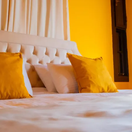Homestay Grace Lounge Premium